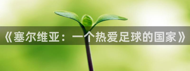 JJB竞技宝官网下载招商电话：《塞尔维亚：一个热爱足