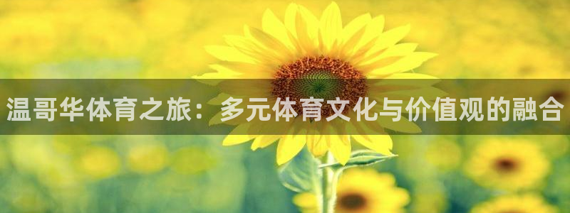 JJB竞技宝官方正版app娱乐下载：温哥华体育之旅：