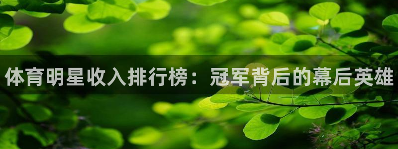 JJB竞技宝官网下载：体育明星收入排行榜：冠军背后的