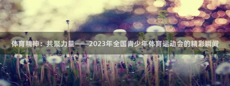 JJB竞技宝官方平台体育：体育精神：共聚力量——20