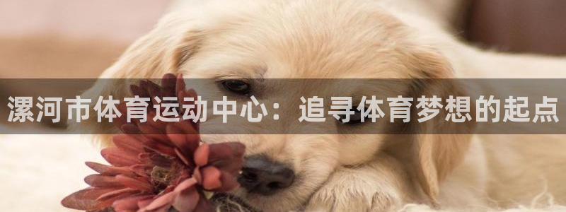 JJB竞技宝官方正版app娱乐平台：漯河市体育运动中心：追寻