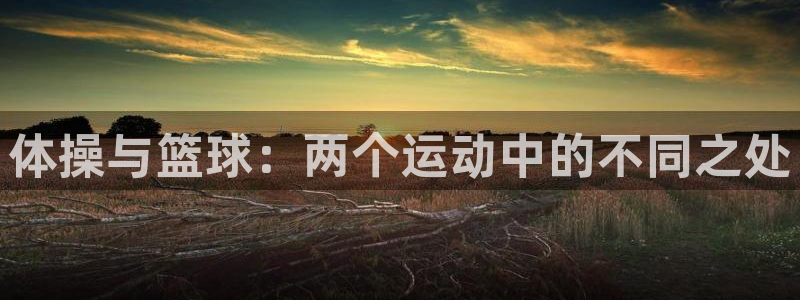 JJB竞技宝官网下载平台是正规平台吗知乎：体操与篮球：两个运