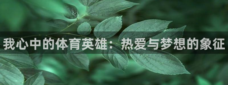 JJB竞技宝官网下载平台注册流程图：我心中的体育英雄：热爱与