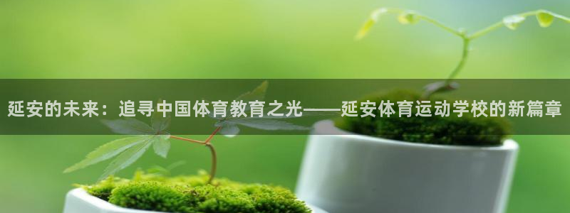 JJB竞技宝官网下载平台假的吗是真的吗吗：延安的未来：追寻中
