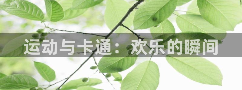 JJB竞技宝官网下载开户：运动与卡通：欢乐的瞬间