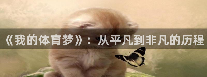 JJB竞技宝官网下载是干嘛的公司：《我的体育梦》：从平凡到非