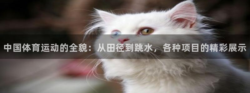 JJB竞技宝官方正版app娱乐网站：中国体育运动的全貌：从田