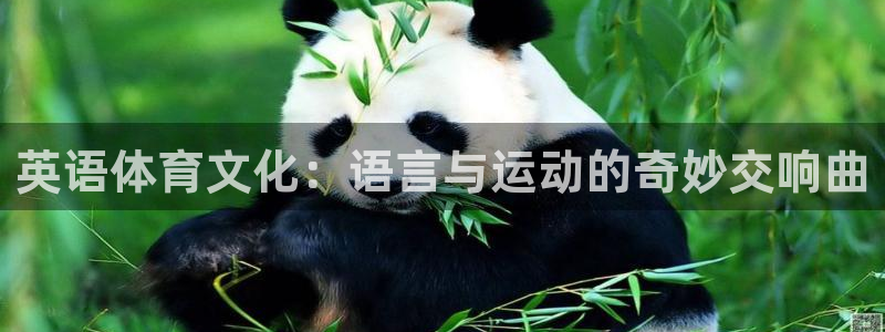 JJB竞技宝官网下载招商电话地址查询：英语体育文化：语言与运