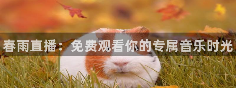 360体育直播免费版在线观看：春雨直播：免费观看你的专属音乐时光
