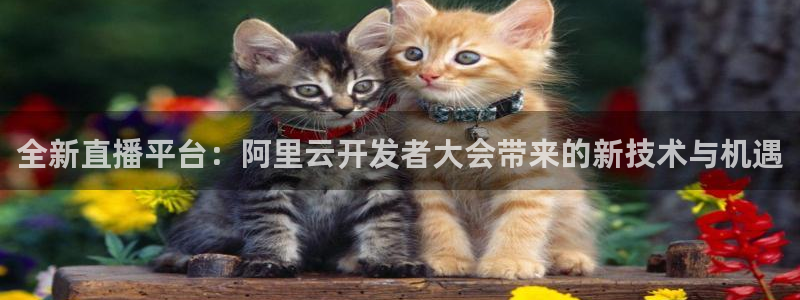 360足球直播在线直播观看高清：全新直播平台：阿里云开发者大会带来的新技术与机遇