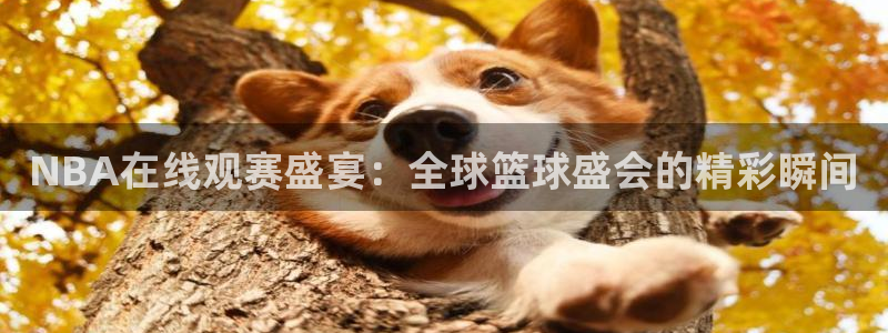 360体育直播在线看：NBA在线观赛盛宴：全球篮球盛会的精彩瞬间