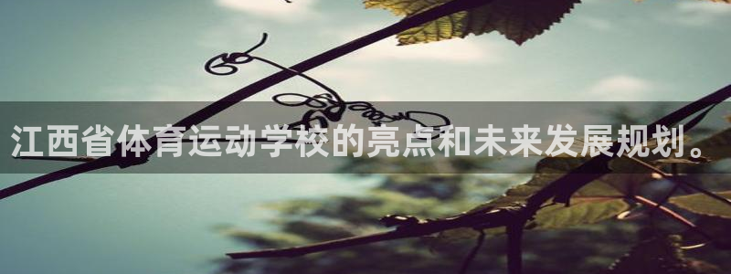 竞技宝手机端下载：江西省体育运动学校