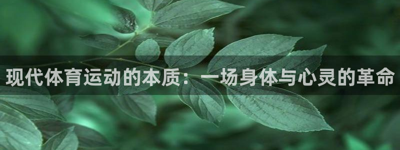 竞技宝测速站网站主网址：现代体育运动