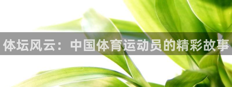 竞技宝属于：体坛风云：中国体育运动员