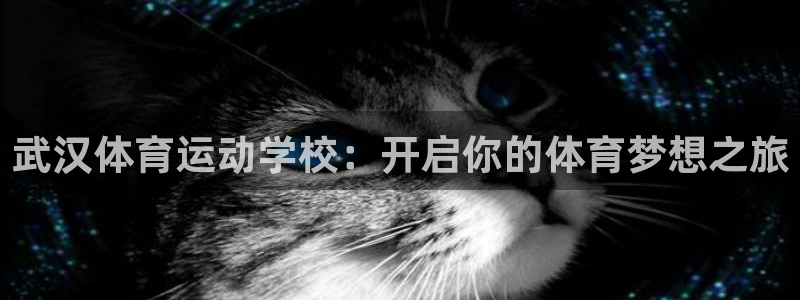 竞技宝是哪里的公司：武汉体育运动学校：开启你的体育梦想之旅