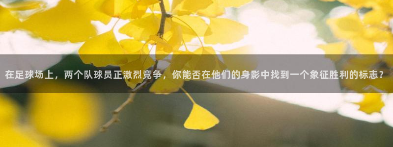  j竞技宝安卓客户端网址：在足球场上，两个队球员正激烈竞争，你