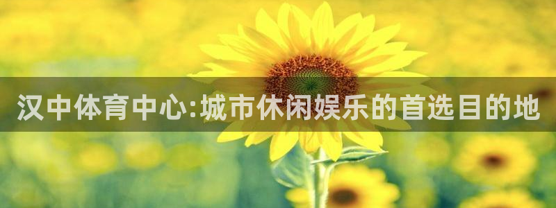  竞技宝上不去了：汉中体育中心:城市休闲娱乐的首选目的地
