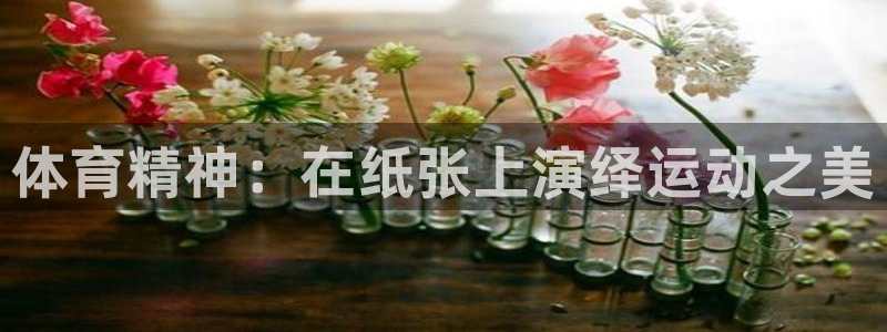 竞技宝上不去了：体育精神：在纸张上演绎运动之美