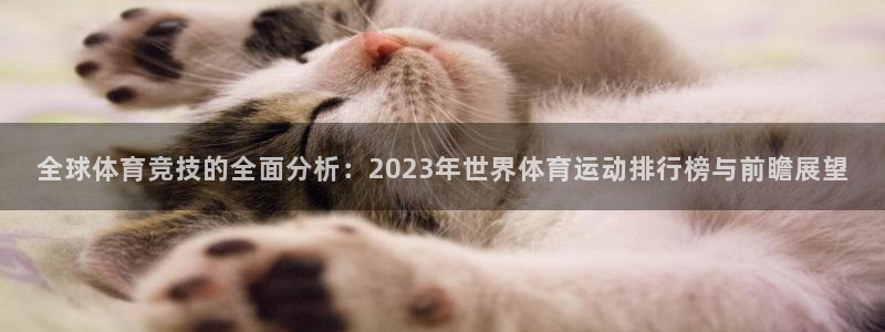 竞技宝客服打不开：全球体育竞技的全面分析：2023年世界体育