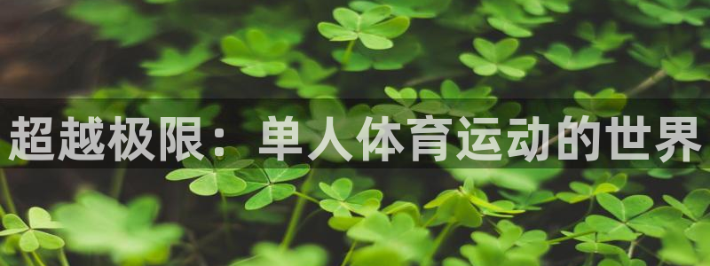  竞技宝安全吗优看hahabet：超越极限：单人体育运动的世界