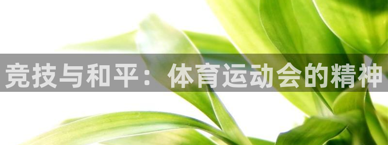 竞技宝app下载地址：竞技与和平：体育运动会的精神