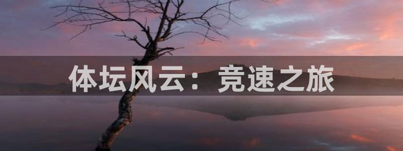  竞技宝进不去怎么回事：体坛风云：竞速之旅