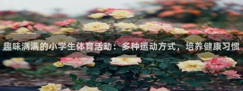 竞技宝app官方安卓版下载