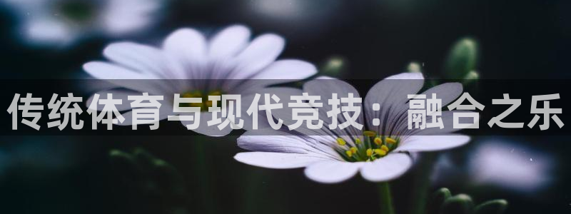 JJB竞技宝官网下载娱乐：传统体育与现代竞技：融合之