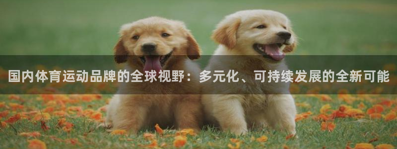 JJB竞技宝官方正版app娱乐首页官网下载：国内体育