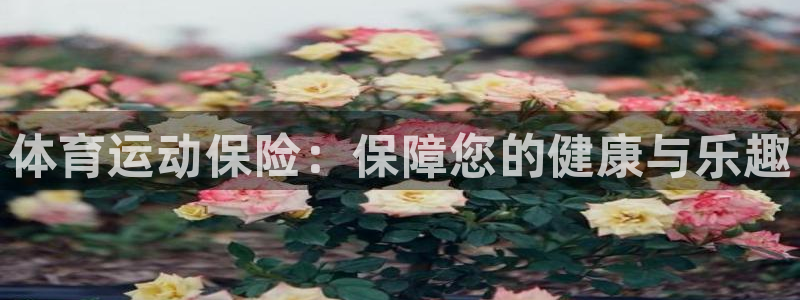 JJB竞技宝官方正版app科技：体育运动保险：保障您