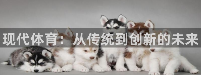 JJB竞技宝官方正版app开户