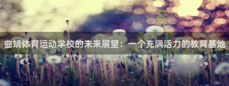 JJB竞技宝官网下载招商电话是多少