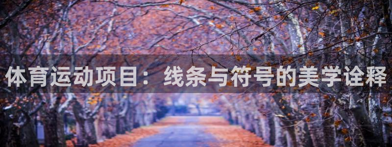 JJB竞技宝官网下载是干嘛的公司：体育运动项目：线条