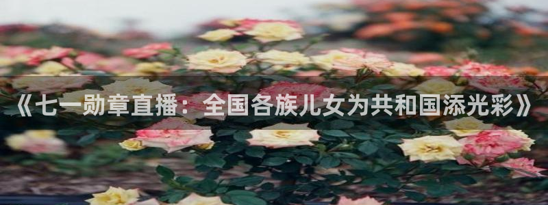360体育在线直播软件：《七一勋章直播：全国各族儿女为共和国添光彩》