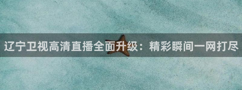 360直播体育直播：辽宁卫视高清直播全面升级：精彩瞬间一网打尽