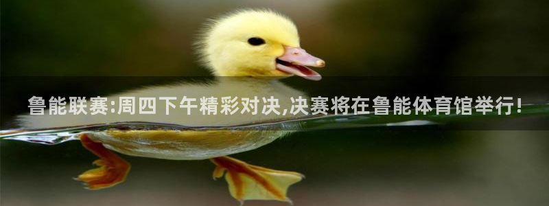 雨燕360体育直播全网发布.快速玩.org：鲁能联赛:周四下午精彩对决,决赛将在鲁能体育馆举行!