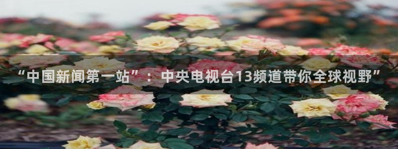 360雨燕免费直播nba：“中国新闻第一站”：中央电视台13频道带你全球视野”