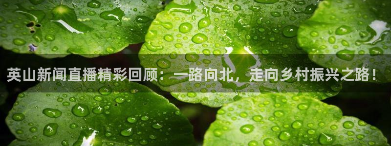 雨燕360直播高清nba：英山新闻直播精彩回顾：一路向北，走向乡村振兴之路！