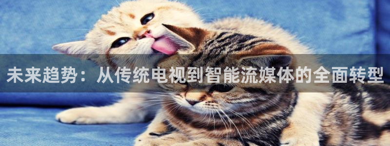 360足球直播吧直播间