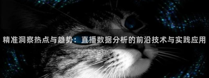 雨燕360体育nba季前赛