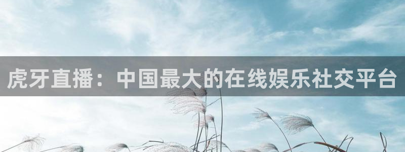 360高清足球直播：虎牙直播：中国最大的在线娱乐社交平台