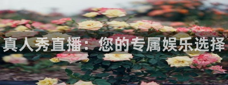 360五星体育直播网：真人秀直播：您的专属娱乐选择