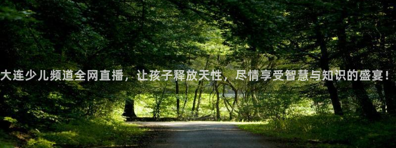 山东360体育直播在线观看：大连少儿频道全网直播，让孩子释放天性，尽情享受智慧与知识的盛宴！
